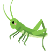 Grasshopper