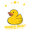Développeur Programmeur Programmation Duck