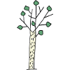 Birch BirchTree natural