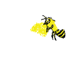 Bee flower pollination beekeeper