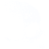 Tête de mort