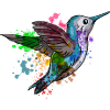Hummingbird Painting