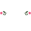 "девочка мечта" Schrift