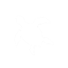 Turtle girl turtles gift