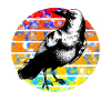 Raven Retro Sunset