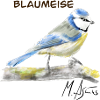 Blaumeise