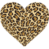 Leopard Heart