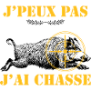 Chasse viser le sanglier