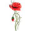 Fleurs