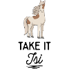 Cheval d’Islande