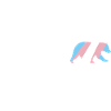 Transgender Mama Bear Gift