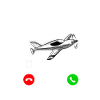 pilot