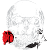 Skull - Skull with Rose