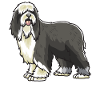 Bearded Collie Dog Gift