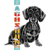 Dachshund