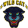 wild cat