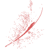 Abstract Feather / Line / Pink / Pattern / Nature