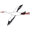 Stork