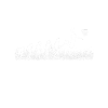 Basketball Evolution