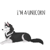 Husky