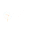 Pissenlit Oiseaux Fleur