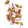 Koi