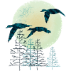 Migratory birds