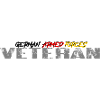 FORCES ARMÉES GERMAN - Vétéran
