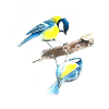 Les oiseaux