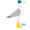 Möwe Bommelmütze MOIN
