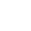 Biathlon ski and shoot