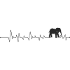 Elephant Silhouette Night Bloom