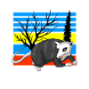 opossum (opossum)