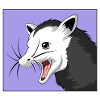 opossum
