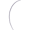Conifer - line