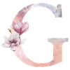 Lettre G