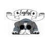 Old English Bulldog