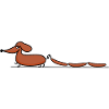 Dachshund with sausages