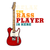bassist