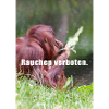 Interdiction de fumer