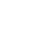 Havaneser Havanese