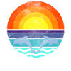 Dolphin Sea Sunset