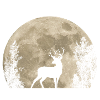 Hirsch im Mondlicht