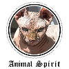 Animal Spirit sphynx cat
