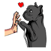 French Bulldog Love Female