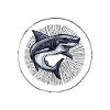 Dancing Shark