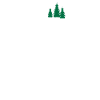 Schwarzwald Wandern Wald Geschenkidee