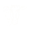 veau - vache
