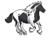 Irish Cob Pferd Geschenkidee