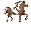 Schecke Pinto Pferd Geschenkidee